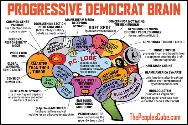 Progressive Democrat Brain