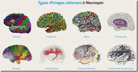 Neurospin Image Types