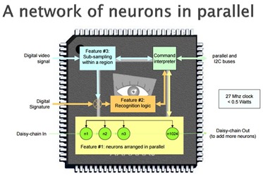 Cognigen Neuron Network